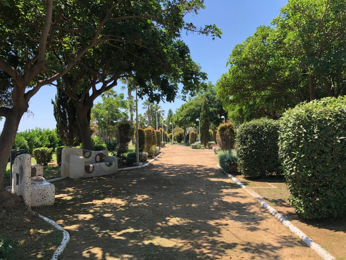 Edessa - Vistamar Lux Sea View Lägenhet Oropesa del Mar Exteriör bild